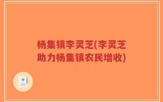 杨集镇李灵芝(李灵芝助力杨集镇农民增收)