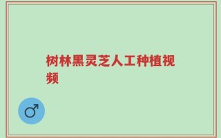 树林黑灵芝人工种植视频