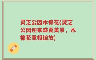 灵芝公园木棉花(灵芝公园迎来盛夏美景，木棉花竞相绽放)