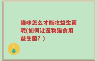 猫咪怎么才能吃益生菌呢(如何让宠物猫食用益生菌？)