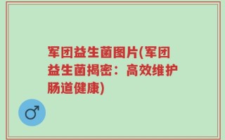 军团益生菌图片(军团益生菌揭密：高效维护肠道健康)