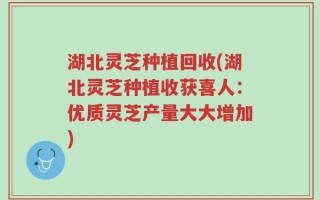 湖北灵芝种植回收(湖北灵芝种植收获喜人：优质灵芝产量大大增加)