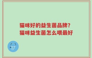 猫咪好的益生菌品牌？猫咪益生菌怎么喂最好