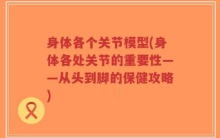 身体各个关节模型(身体各处关节的重要性——从头到脚的保健攻略)