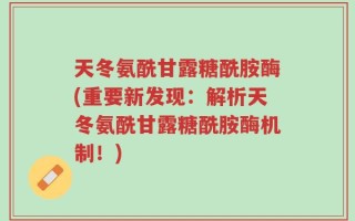 天冬氨酰甘露糖酰胺酶(重要新发现：解析天冬氨酰甘露糖酰胺酶机制！)