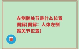 左侧髋关节是什么位置图解(图解：人体左侧髋关节位置)