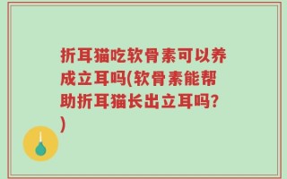 折耳猫吃软骨素可以养成立耳吗(软骨素能帮助折耳猫长出立耳吗？)