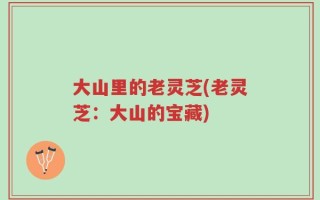 大山里的老灵芝(老灵芝：大山的宝藏)