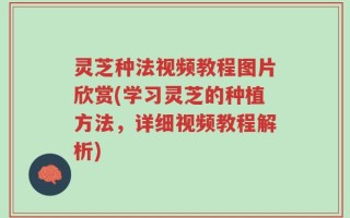 灵芝种法视频教程图片欣赏(学习灵芝的种植方法，详细视频教程解析)