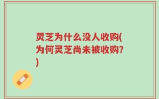 灵芝为什么没人收购(为何灵芝尚未被收购？)