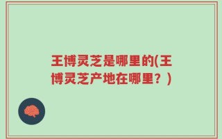 王博灵芝是哪里的(王博灵芝产地在哪里？)