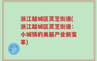 浙江越城区灵芝街道(浙江越城区灵芝街道：小城镇的美丽产业新变革)