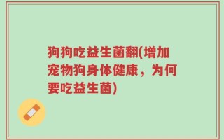 狗狗吃益生菌翻(增加宠物狗身体健康，为何要吃益生菌)