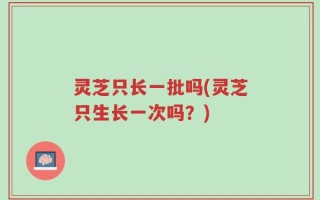 灵芝只长一批吗(灵芝只生长一次吗？)