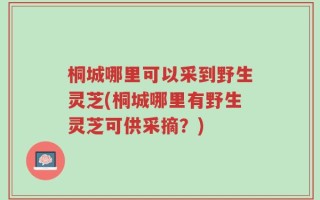 桐城哪里可以采到野生灵芝(桐城哪里有野生灵芝可供采摘？)