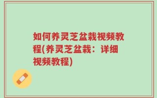 如何养灵芝盆栽视频教程(养灵芝盆栽：详细视频教程)