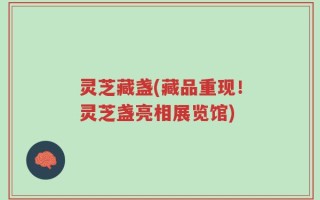 灵芝藏盏(藏品重现！灵芝盏亮相展览馆)