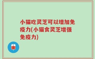 小猫吃灵芝可以增加免疫力(小猫食灵芝增强免疫力)