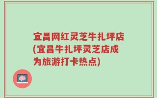 宜昌网红灵芝牛扎坪店(宜昌牛扎坪灵芝店成为旅游打卡热点)