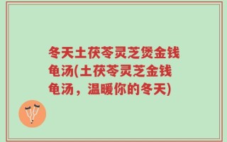 冬天土茯苓灵芝煲金钱龟汤(土茯苓灵芝金钱龟汤，温暖你的冬天)