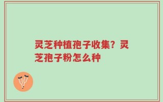 灵芝种植孢子收集？灵芝孢子粉怎么种