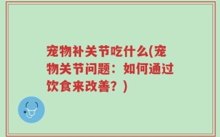 宠物补关节吃什么(宠物关节问题：如何通过饮食来改善？)