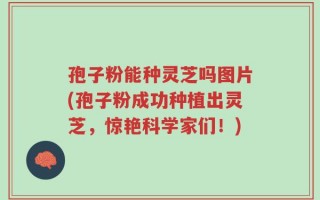 孢子粉能种灵芝吗图片(孢子粉成功种植出灵芝，惊艳科学家们！)