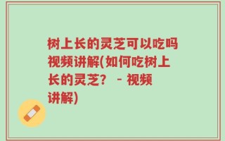 树上长的灵芝可以吃吗视频讲解(如何吃树上长的灵芝？ - 视频讲解)