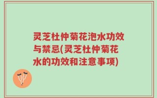 灵芝杜仲菊花泡水功效与禁忌(灵芝杜仲菊花水的功效和注意事项)