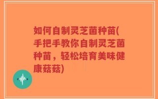 如何自制灵芝菌种苗(手把手教你自制灵芝菌种苗，轻松培育美味健康菇菇)