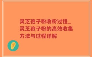 灵芝孢子粉收粉过程_灵芝孢子粉的高效收集方法与过程详解