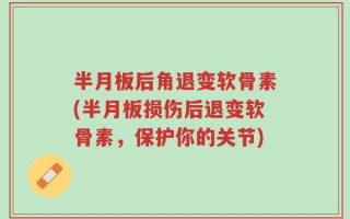 半月板后角退变软骨素(半月板损伤后退变软骨素，保护你的关节)