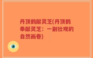 丹顶鹤献灵芝(丹顶鹤奉献灵芝：一副壮观的自然画卷)