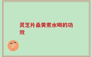 灵芝片桑黄煮水喝的功效