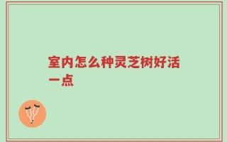 室内怎么种灵芝树好活一点