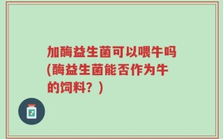 加酶益生菌可以喂牛吗(酶益生菌能否作为牛的饲料？)