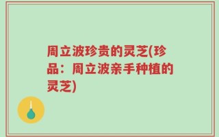 周立波珍贵的灵芝(珍品：周立波亲手种植的灵芝)