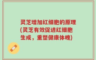 灵芝增加红细胞的原理(灵芝有效促进红细胞生成，重塑健康体魄)