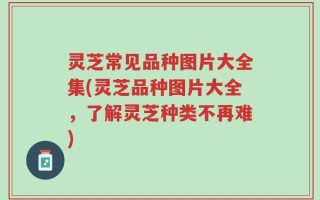 灵芝常见品种图片大全集(灵芝品种图片大全，了解灵芝种类不再难)