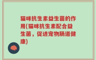 猫咪抗生素益生菌的作用(猫咪抗生素配合益生菌，促进宠物肠道健康)