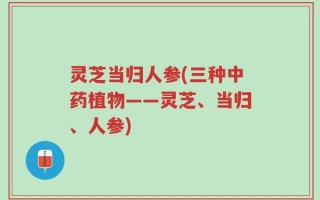 灵芝当归人参(三种中药植物——灵芝、当归、人参)
