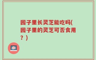 园子里长灵芝能吃吗(园子里的灵芝可否食用？)