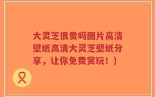 大灵芝很贵吗图片高清壁纸高清大灵芝壁纸分享，让你免费赏玩！)