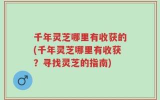 千年灵芝哪里有收获的(千年灵芝哪里有收获？寻找灵芝的指南)