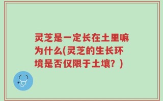 灵芝是一定长在土里嘛为什么(灵芝的生长环境是否仅限于土壤？)