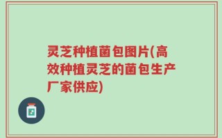 灵芝种植菌包图片(高效种植灵芝的菌包生产厂家供应)