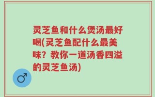 灵芝鱼和什么煲汤最好喝(灵芝鱼配什么最美味？教你一道汤香四溢的灵芝鱼汤)