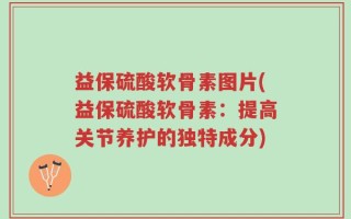 益保硫酸软骨素图片(益保硫酸软骨素：提高关节养护的独特成分)