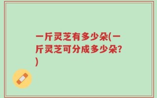 一斤灵芝有多少朵(一斤灵芝可分成多少朵？)