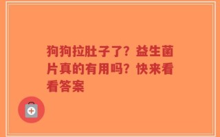 狗狗拉肚子了？益生菌片真的有用吗？快来看看答案